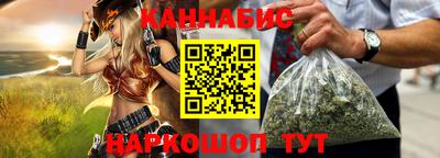 индика Моздок