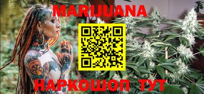 индика Моздок