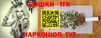 индика Моздок
