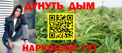 индика Моздок
