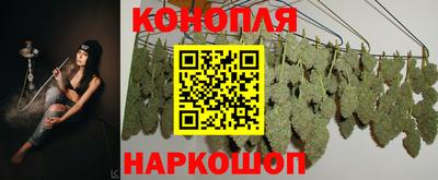 индика Моздок