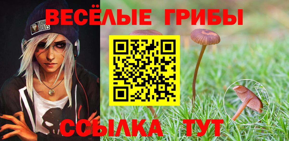 Галлюциногенные грибы прущие грибы  Вход с VPN  Боровичи 