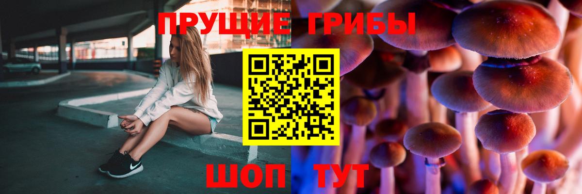 Псилоцибиновые грибы мухоморы Боровичи